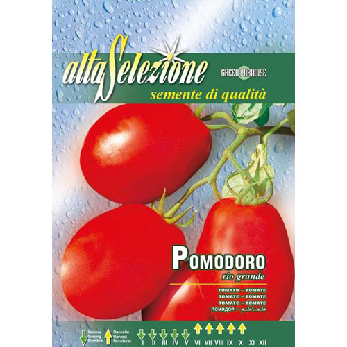 Roșie Rio Grande imagine 1 articol 87187