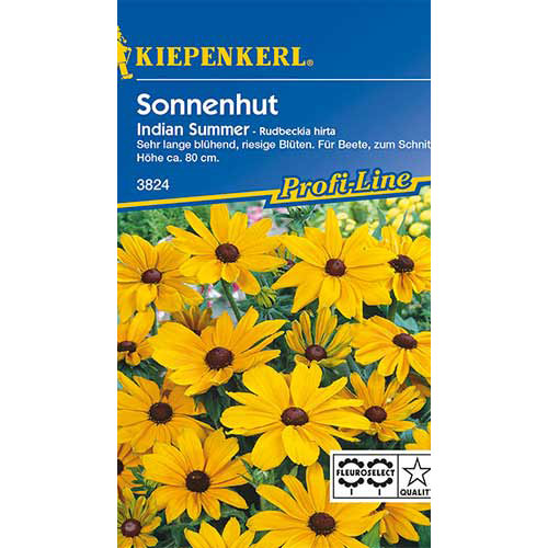 Rudbeckia (Bulgări de soare) Indian Summer Kiepenkerl imagine 1 articol 86330