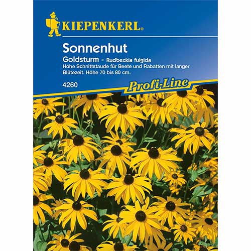 Rudbekia owłosiona Goldsturm Kiepenkerl interface.image 1 interface.art 96583