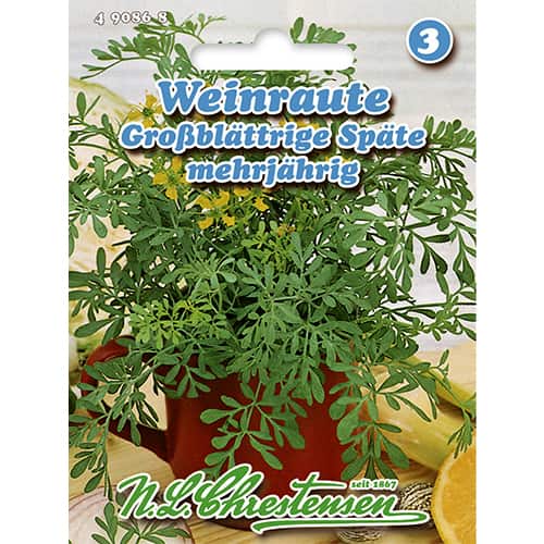 Rută de grădină (Virnanț) imagine 1 articol 86022