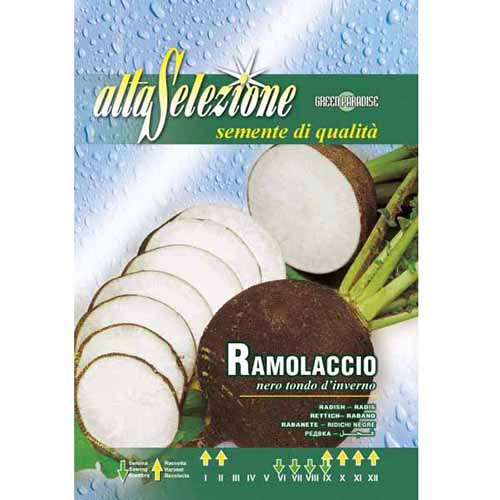 Ряпа Nero Tondo D'Inverno изображение 1 артикул 87169