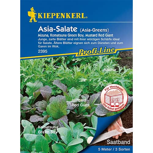 Salată asiatică, amestec de soiuri imagine 1 articol 87291