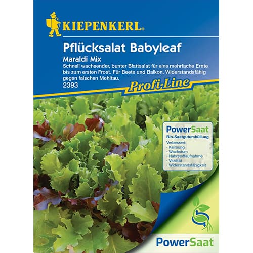 Salată Babyleaf, amestec de soiuri imagine 1 articol 87792