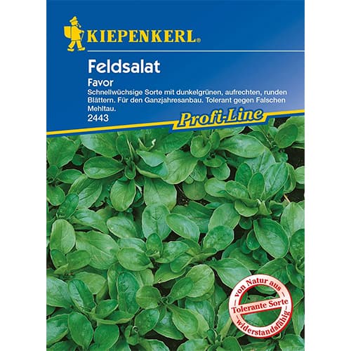 Salată de câmp (fetică) Favor imagine 1 articol 86449