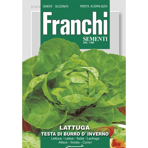 Salată de capățână Testa di Burro d'Inverno imagine 1 articol 87174