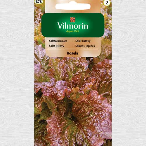 Salată de frunze Rosella imagine 1 articol 69708