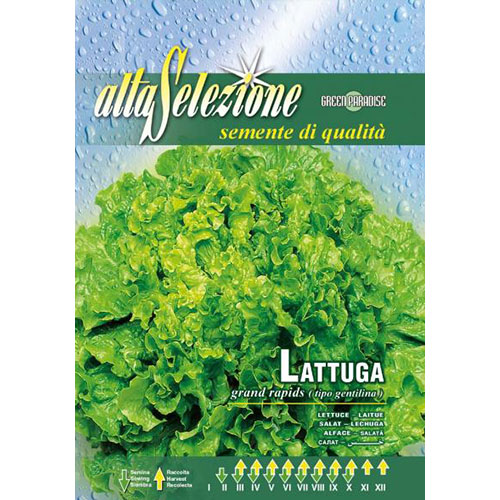 Salată Gentilina imagine 1 articol 87171