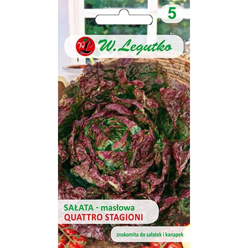Sałata głowiasta Quattro Stagioni interface.image 1 interface.art 69540