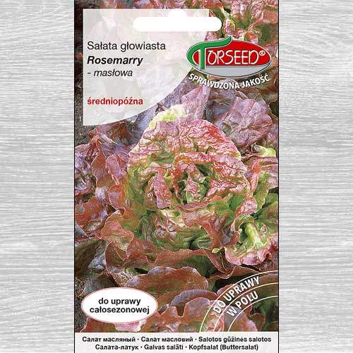 Sałata głowiasta masłowa Rosemarry interface.image 1 interface.art 77644
