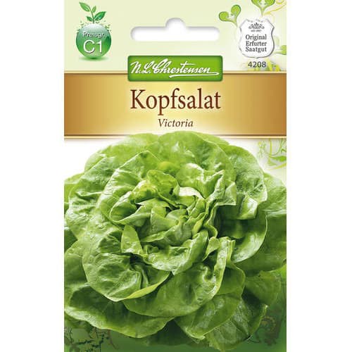 Salata glowiasta Victoria interface.image 1 interface.art 78773