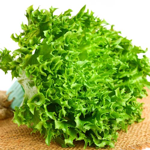 Salată iceberg Regina Gheții imagine 1 articol 8736