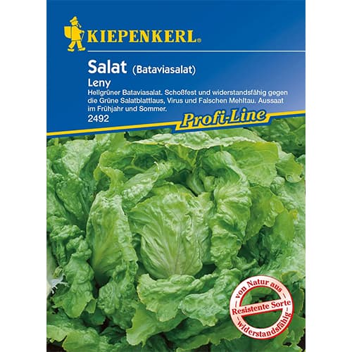 Salată Leny imagine 1 articol 96595