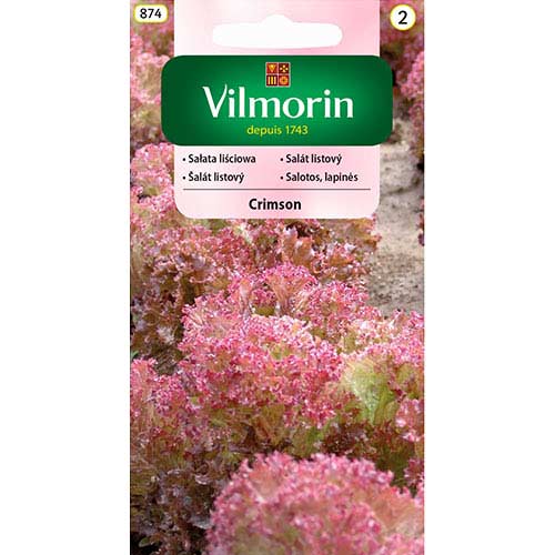 Sałata liściowa Crimson Vilmorin interface.image 1 interface.art 77756