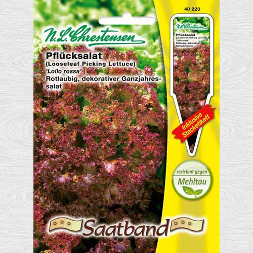 Salată Lollo Rossa (Chrestensen) imagine 1 articol 69146