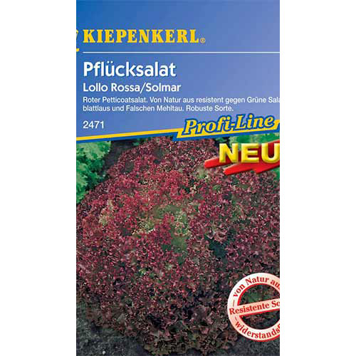 Salată Lollo Rossa Kiepenkerl imagine 1 articol 86475