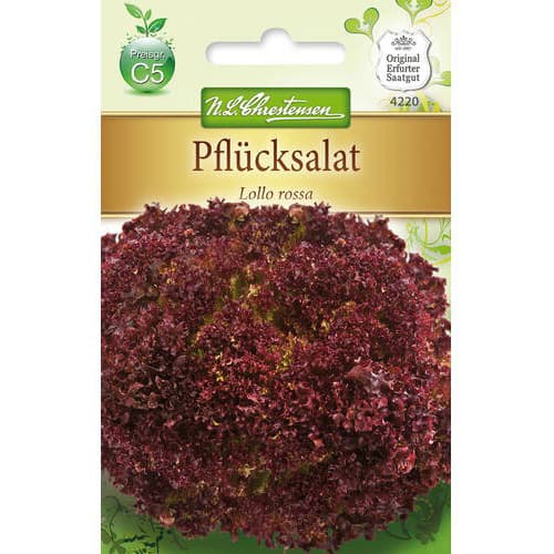 Salată Lollo Rossa imagine 1 articol 78779