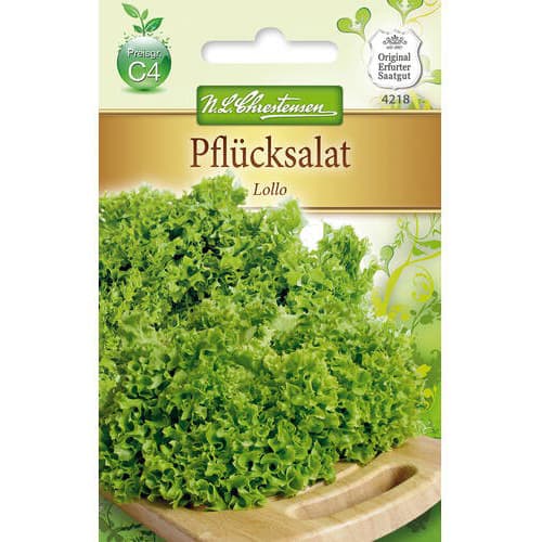 Salată Lollo imagine 1 articol 78778