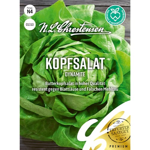 Salata glowiasta Dynamite interface.image 1 interface.art 86053