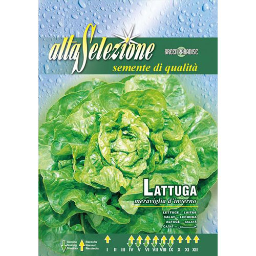 Salată Meraviglia d'Inverno imagine 1 articol 87172