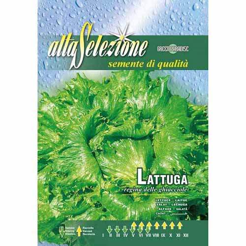 Салата Regina delle ghiacciole изображение 1 артикул 96396