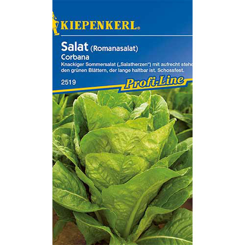 Salată romană Corbana Kiepenkerl imagine 1 articol 86516