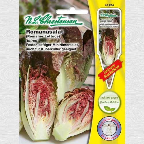 Salată romană Intred imagine 1 articol 69163