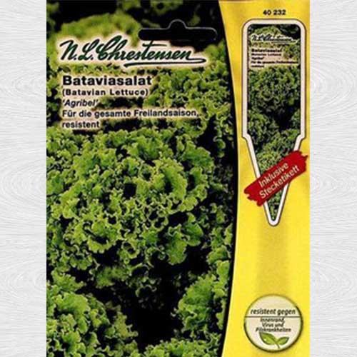 Salată tip batavia Agribel imagine 1 articol 69025