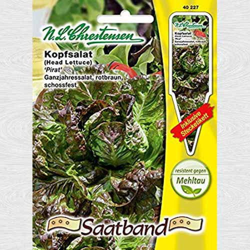 Salată verde Pirat imagine 1 articol 69105