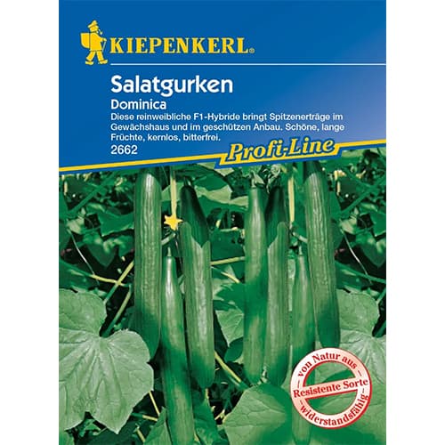 Салатна краставица Dominica F1 изображение 1 артикул 96669