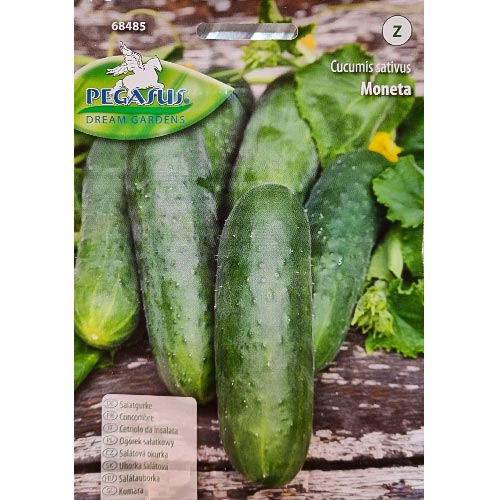 Салатна краставица Moneta изображение 1 артикул 96670