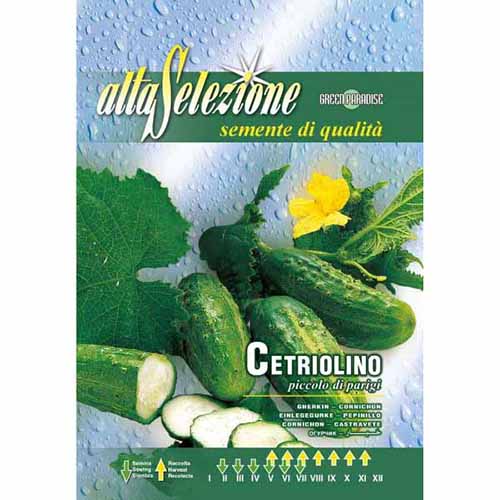 Салатна краставица Piccolo di parigi изображение 1 артикул 87145