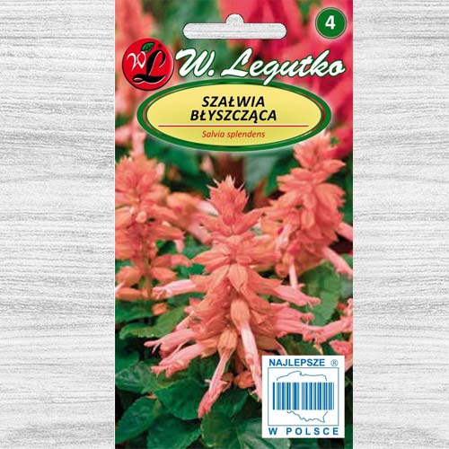 Salvie decorativă roz imagine 1 articol 78588