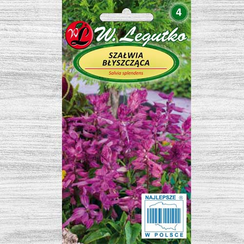 Salvie decorativă violet Legutko imagine 1 articol 78591