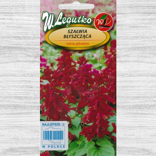 Salvie decorativă vișinie imagine 1 articol 78590