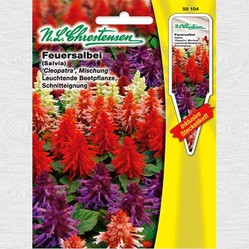 Salvie roșie Cleopatra, mix multicolor imagine 1 articol 69370