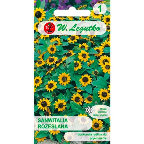 Sanwitalia trimisă Legutko imagine 1 articol 50118