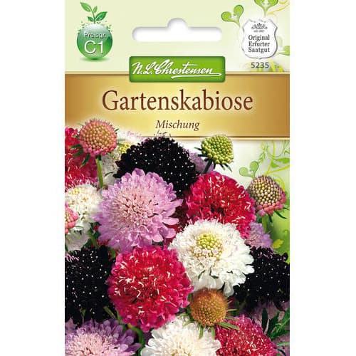 Scabiosa, mix multicolor imagine 1 articol 78936