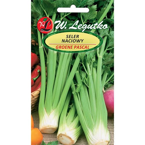 Seler naciowy Plein blanc Pascal interface.image 1 interface.art 86907