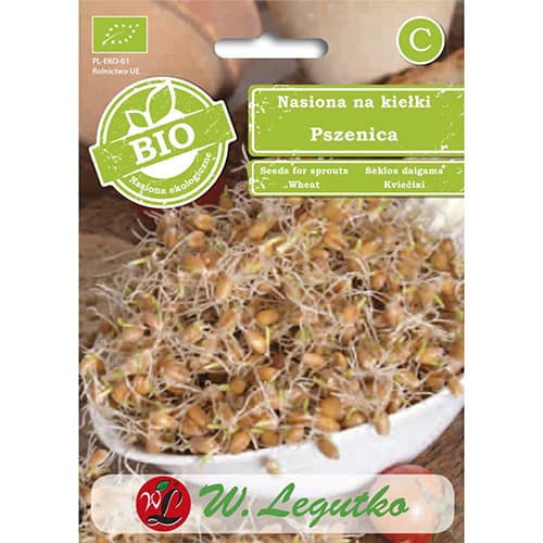 Семена за кълнове - пшеница изображение 1 артикул 86683