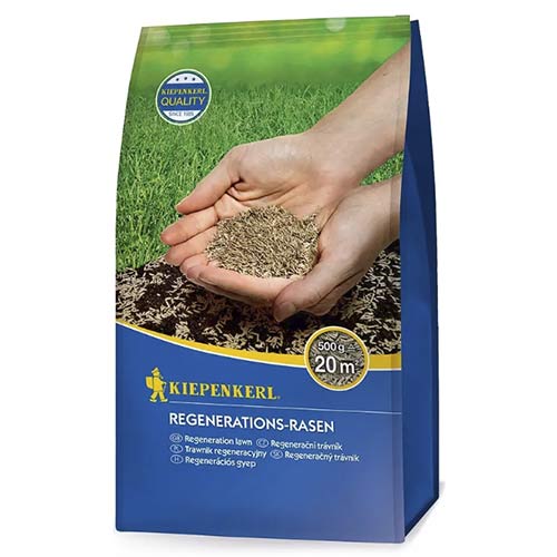 Semințe gazon pentru regenerare imagine 1 articol 96891