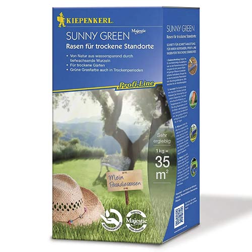 Semințe gazon pentru zone secetoase Sunny Green imagine 1 articol 96906