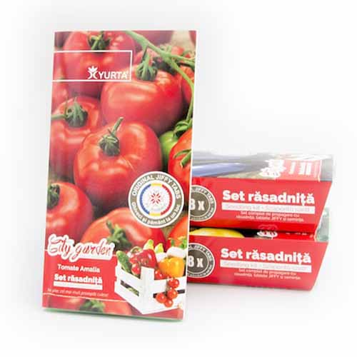 Set răsadniță medie cu soiuri românești Roșie Amalia imagine 1 articol 96300