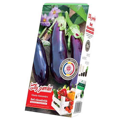 Set răsadniță medie cu soiuri românești Vânătă Alexandra imagine 1 articol 96301