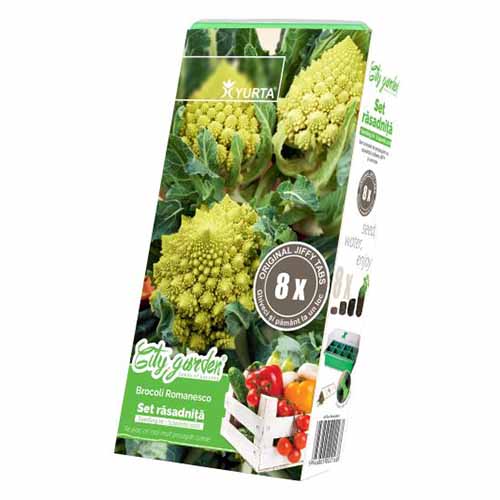 Set răsadniță medie și Broccoli Romanesco imagine 1 articol 96288
