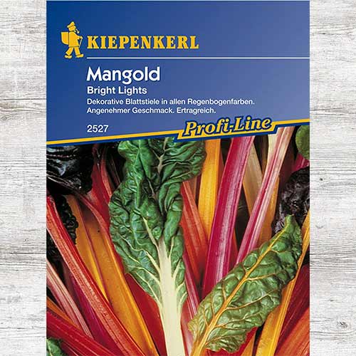 Sfeclă elvețiană Bright Lights imagine 1 articol 69113