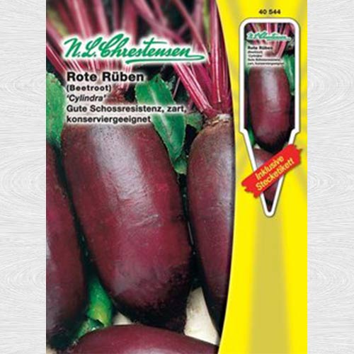 Sfeclă roșie Cylindra (Chrestensen) imagine 1 articol 69171