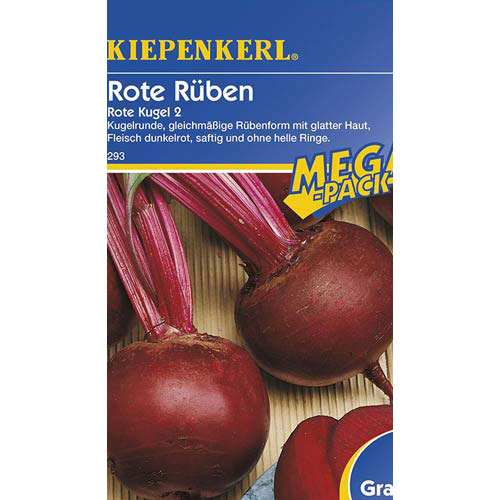 Sfeclă Rote Kugel Kiepenkerl imagine 1 articol 77496