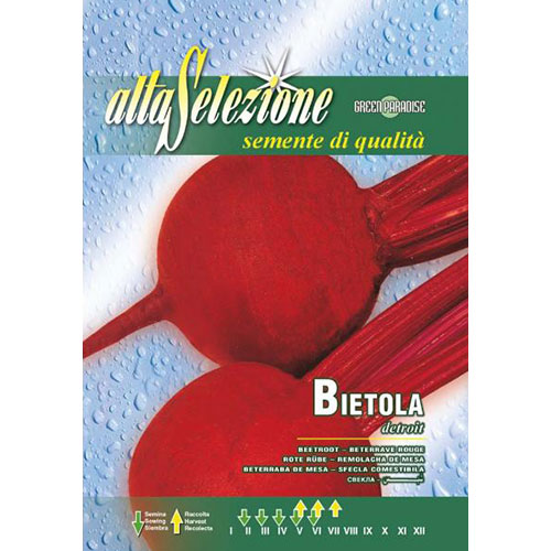 Sfeclă roșie Detroit imagine 1 articol 87178