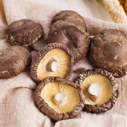 Shiitake imagine 3 articol 9744