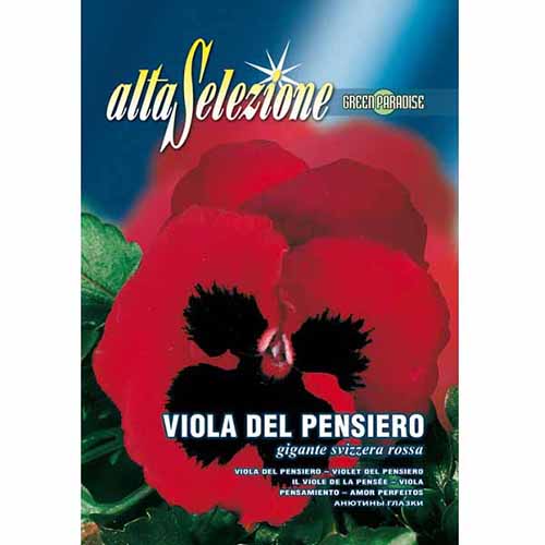 Швейцарска многоцветна теменужка червена изображение 1 артикул 96364